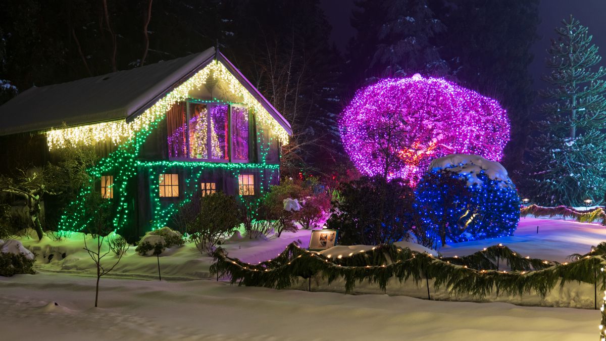 Professionally installed Christmas lights — Roofline + yard trees — <b>Brentwood</b>