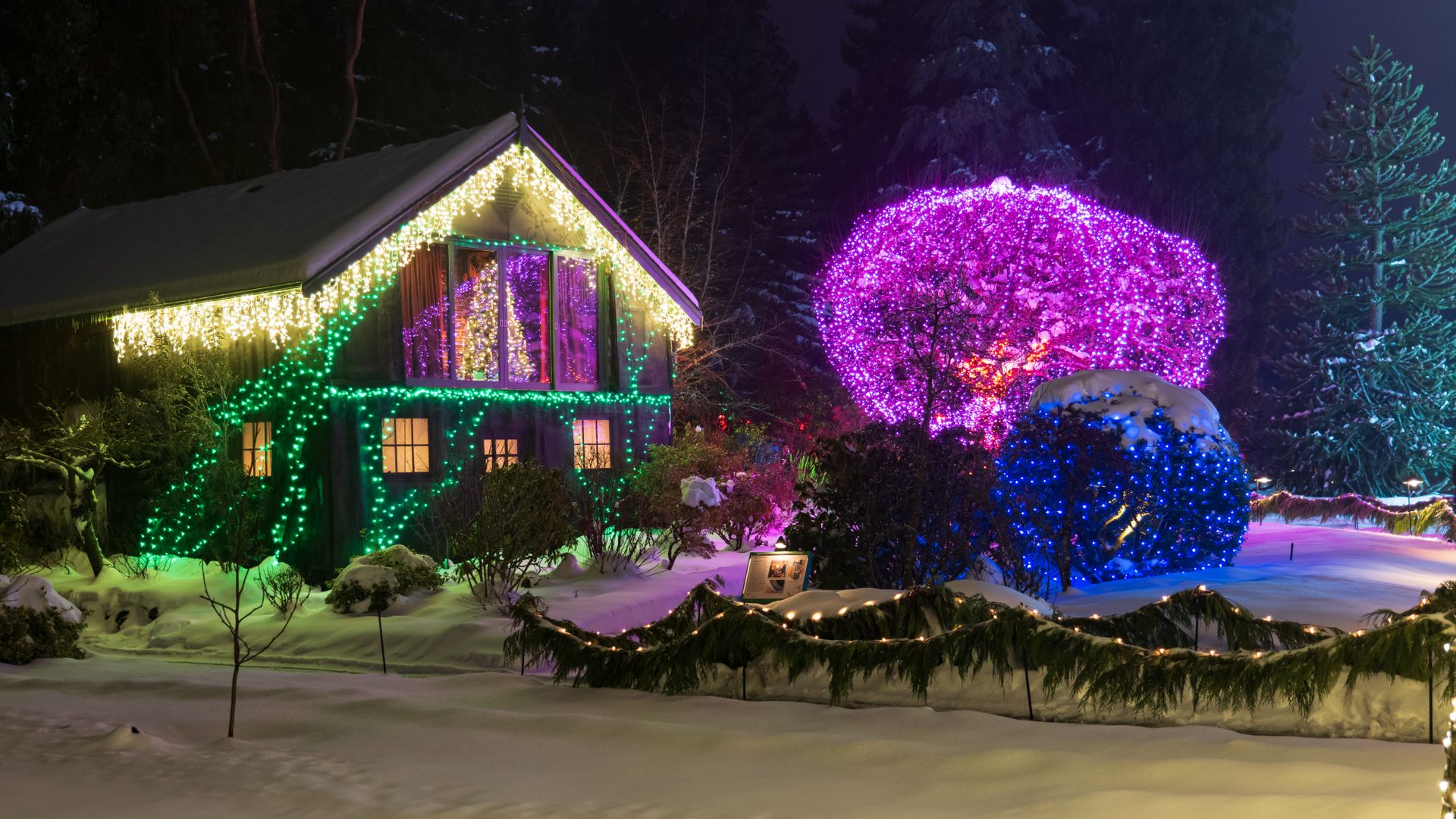A Nashville home glowing with professionally installed Christmas lights at night